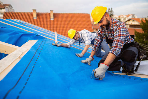 Best Chimney Flashing Repair  in Reedurban, OH